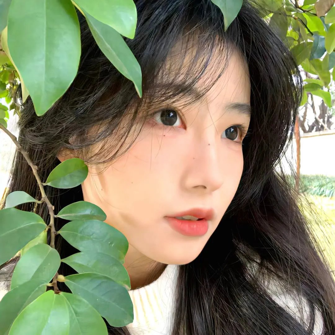 我的魔法预言