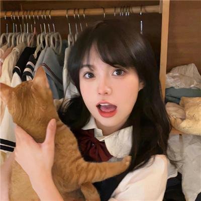 如果德川家康成为总理大臣